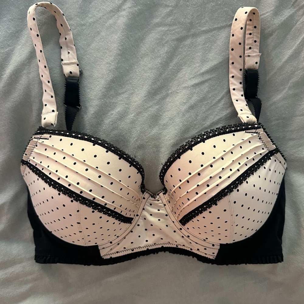 CUTE Black and Cream Bra 32DD